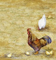 Chicken Yard Fine Art Print