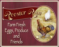 Rooster Run Sign Fine Art Print