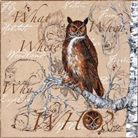 Owl In The Wildnerness Fine Art Print