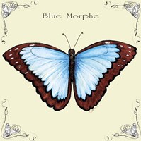 Butterfly Blue Morphe Fine Art Print