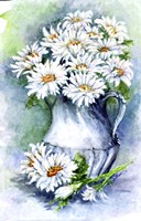 Daisies Watercolor Sketch Fine Art Print