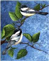 Chickadees Fine Art Print