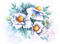 White Poppies Fine Art Print