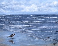 Beach Reflections Fine Art Print