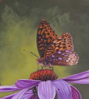 Butterfly 4 Fine Art Print