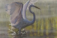 Razzle Dazzle Fine Art Print