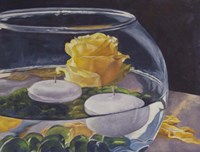 Yellow Rose Fine Art Print