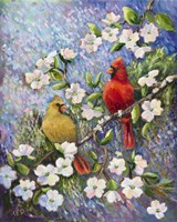 Cardinal Impressions Fine Art Print