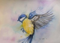 Bluebird Fine Art Print