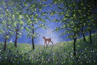 Evening In The Bluebell Wood Fine Art Print