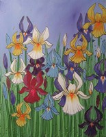 Wild Irises Fine Art Print