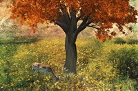 Nature Color Fine Art Print