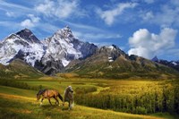 Wild Nature Fine Art Print