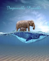 Impossible Possible Fine Art Print