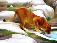 Lioness Fine Art Print