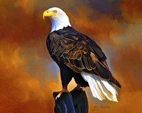 The Eagle Fine Art Print