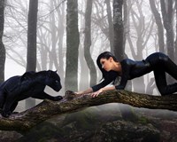 Black Jaguar Framed Print