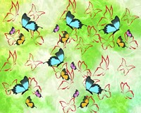 Butterflies Fine Art Print