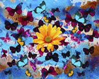 Daisy And Butterflies Fine Art Print