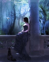 Princess Castel Fine Art Print