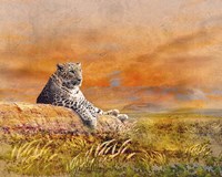 The Cat Fine Art Print