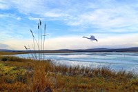 Wild Nature 2 Fine Art Print