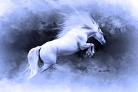 White Horse Fine Art Print