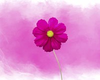 Pink Flower Fine Art Print