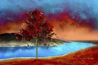 My Colorful World Fine Art Print