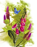 Nature And Colors Fine Art Print