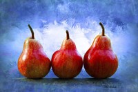 Pears Fine Art Print