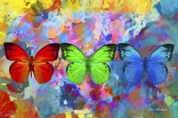 Red, Green & Blue Fine Art Print