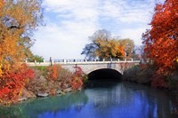 Autumn 2 Fine Art Print