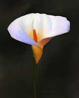 Beautiful Flower Fine Art Print