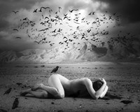 Black Bird Land Fine Art Print