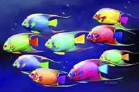 Colorful Fishes 2 Fine Art Print