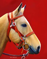Horse Portrait Fine Art Print
