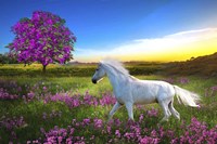 Purple Land Fine Art Print