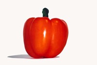 Red Pepper Fine Art Print