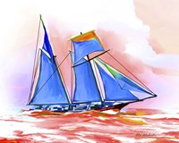 Sail Fine Art Print