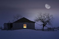 Winter Night Fine Art Print