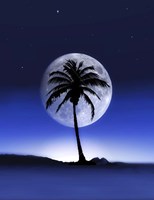 Big Moon Night Fine Art Print