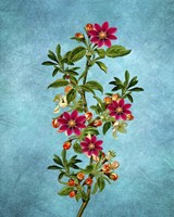 Color Leaves 2 Fine Art Print