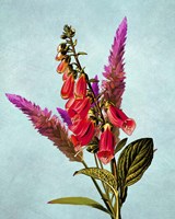 Color Leaves B Fine Art Print