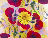 Floral Design H Fine Art Print