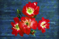 Floral Design J Fine Art Print