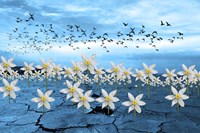 Dead Earth Fine Art Print