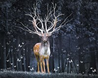 Magical Deer Fine Art Print