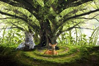 Peaceful Life Fine Art Print