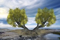 Twin Tree Fine Art Print